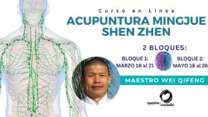 Curso Acupuntura Mingjue