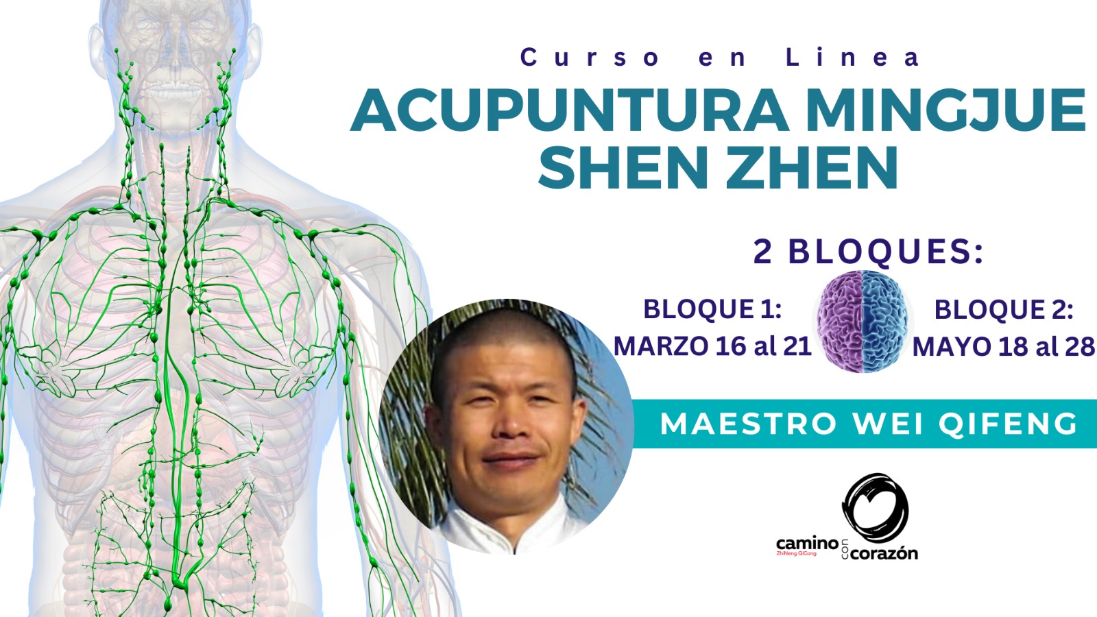 Curso Acupuntura Mingjue
