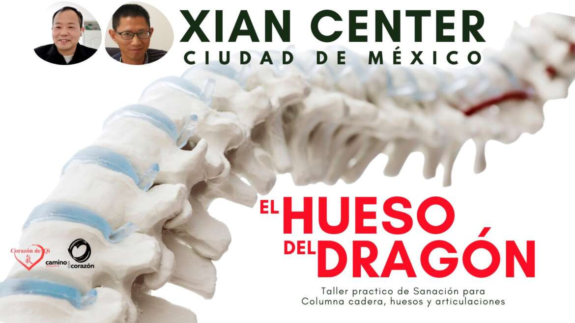 Taller Presencial Columna Vertebral  Septiembre