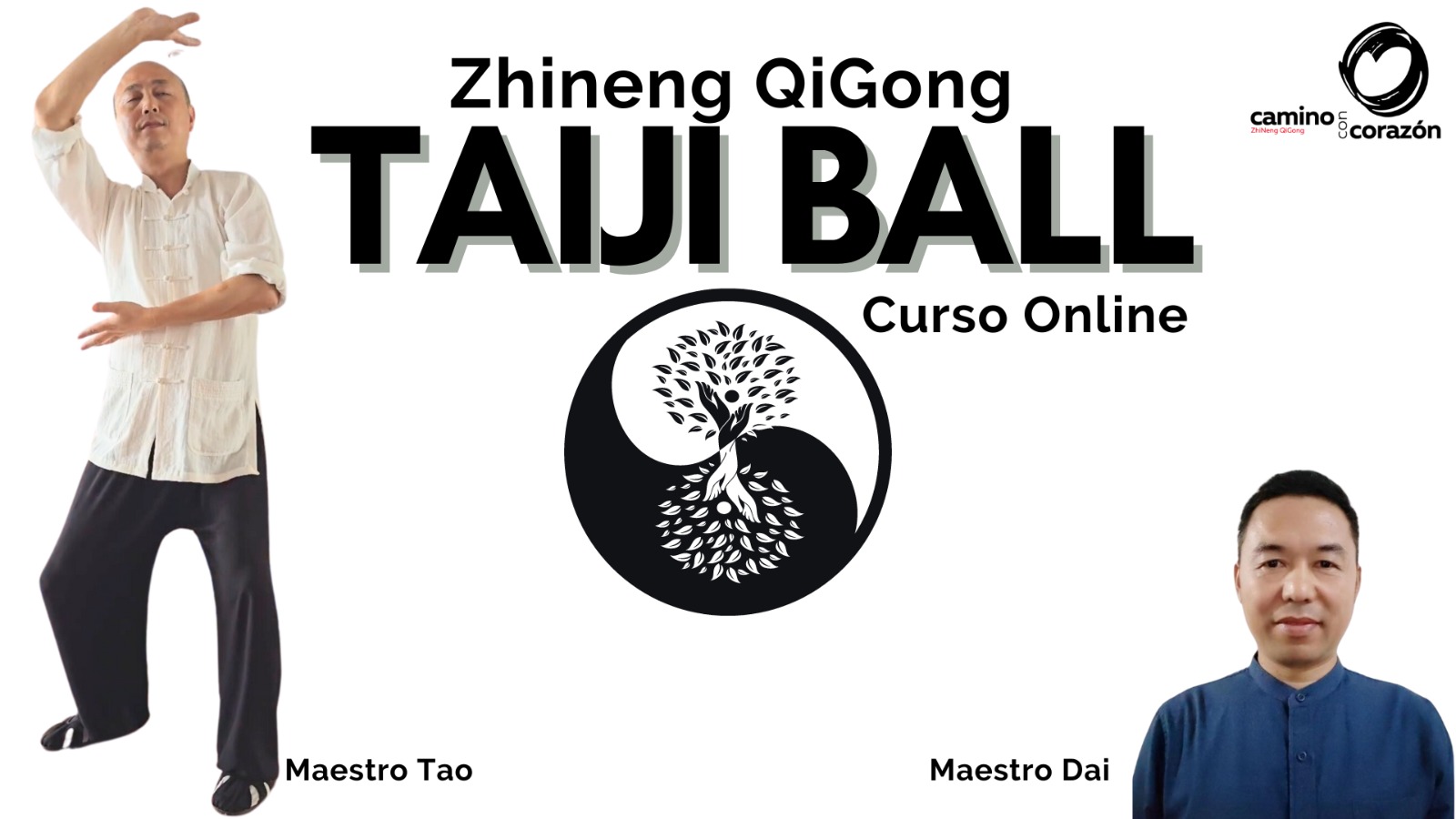 TAICHI BALL